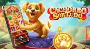 cachorro-sortudo-300x165-2-1-1-1