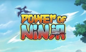 power-of-ninja-300x182-1