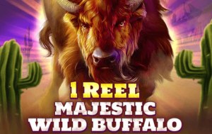 1 Reel Majestic Wild Buffalo
