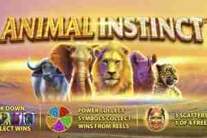 Animal Instinct