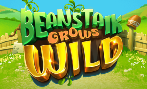 Bean Stalk Grows Wild