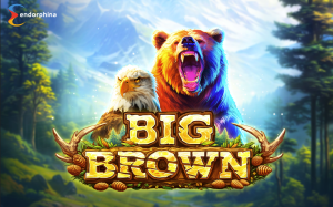 Big Brown