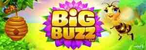 Big Buzz Demo Slot