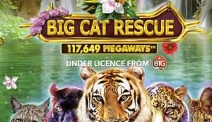 Big Cat Rescue Megaways Demo Slot