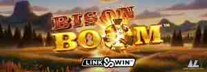 Bison Boom
