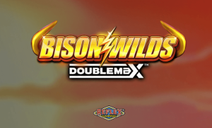 Bison Wilds DoubleMax