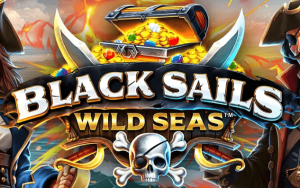 Black Sails Wild Seas