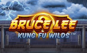 Bruce Lee Kung Fu Wilds