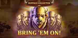 Buffalo Collector