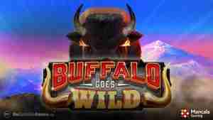 Buffalo Goes Wild Demo Slot