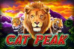 Cat Peak Demo Slot