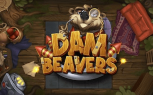 Dam Beavers