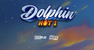 Dolphin Hot 1