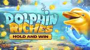 Dolphin Riches