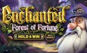 Enchanted Forest of Fortune