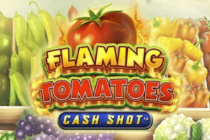 Flaming Tomatoes Cash Shot Demo Slot