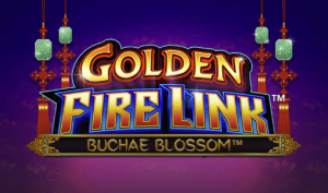 Golden Fire Link Buchae Blossom