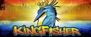 Kingfisher