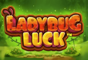 Ladybug Luck