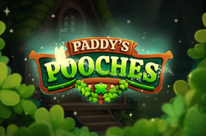 Paddy's Pooches