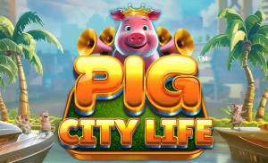 Pig City Life