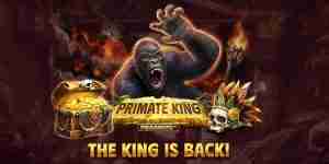 Primate King Megaways