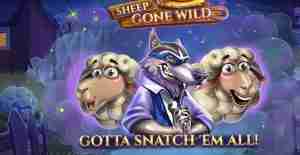Sheep Gone Wild Demo Slot