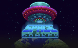 Space Donkey