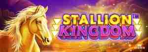 Stallion Kingdom