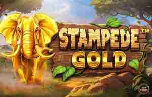 Stampede Gold Demo