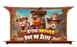 The Dog House - Dog or Alive