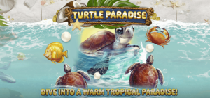 Turtle Paradise