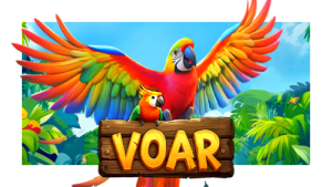 Voar