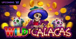Wild Calacas