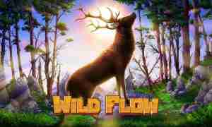 Wild Flow