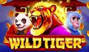 Wild Tiger