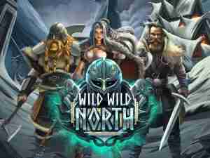 Wild Wild North