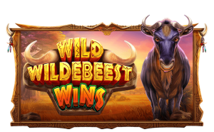 Wild Wildebeest Wins